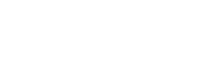 gdfx whit logo